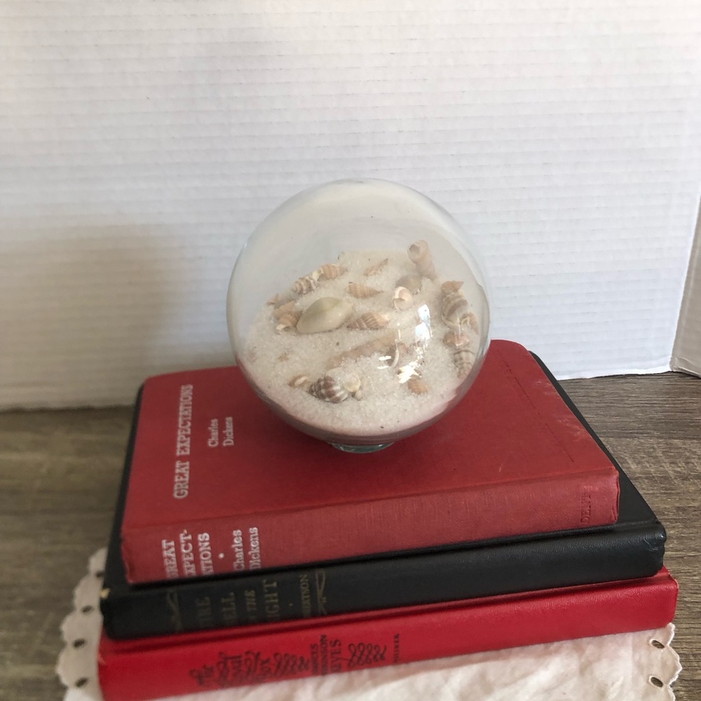 Clear Glass Shell Terrarium Sphere with White Sand and Natural Shells